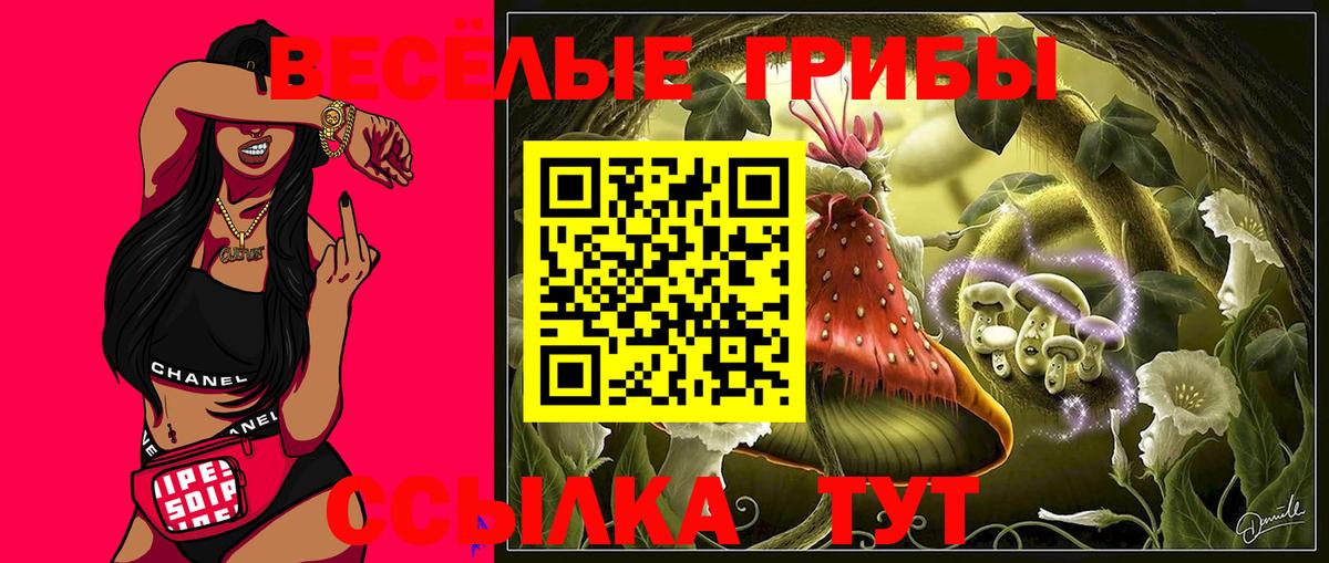 Галлюциногенные грибы Cubensis  Галлюциногенные грибы MAGIC MUSHROOMS  Вход с VPN  Белебей 